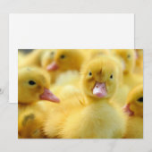 Kutest Baby Animals | Baby Duck-groep Bedankkaart (Voorkant / Achterkant)