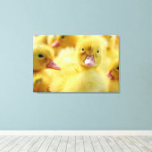 Kutest Baby Animals | Baby Duck-groep Canvas Afdruk (Insitu (Houten vloer))