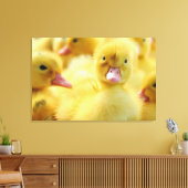 Kutest Baby Animals | Baby Duck-groep Canvas Afdruk (Insitu (Woonkamer))