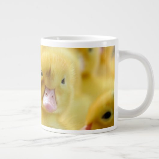 Kutest Baby Animals | Baby Duck-groep Grote Koffiekop (Rechts)