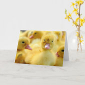 Kutest Baby Animals | Baby Duck-groep Kaart (Gele Bloem)