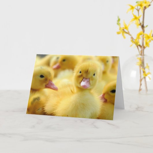 Kutest Baby Animals | Baby Duck-groep Kaart (Gele Bloem)