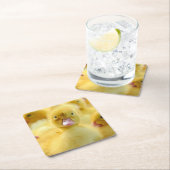 Kutest Baby Animals | Baby Duck-groep Kartonnen Onderzetters (Insitu)