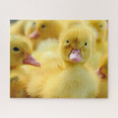 Kutest Baby Animals | Baby Duck-groep Legpuzzel (Horizontaal)