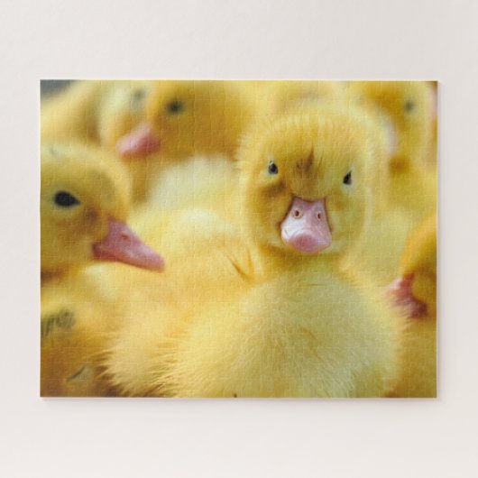 Kutest Baby Animals | Baby Duck-groep Legpuzzel (Horizontaal)