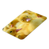 Kutest Baby Animals | Baby Duck-groep Magneet (Linkerzijde)