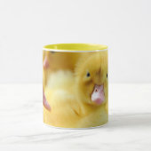 Kutest Baby Animals | Baby Duck-groep Mok (Midden)