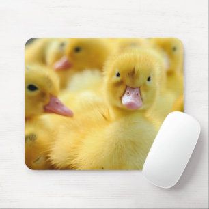 Kutest Baby Animals   Baby Duck-groep Muismat