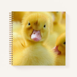 Kutest Baby Animals Baby Duck-groep Notitieboek