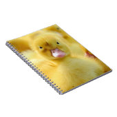 Kutest Baby Animals | Baby Duck-groep Notitieboek (Rechterzijde)