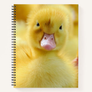 Kutest Baby Animals   Baby Duck-groep Notitieboek