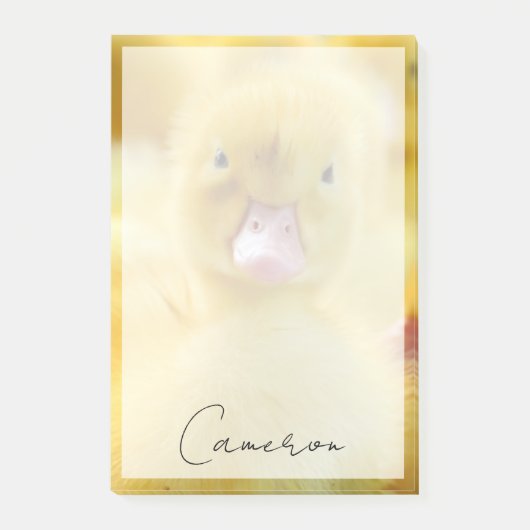 Kutest Baby Animals | Baby Duck-groep Post-it® Notes (Voorkant)