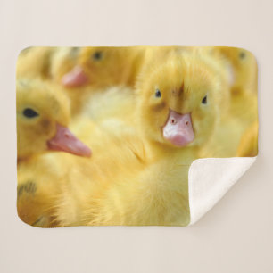 Kutest Baby Animals   Baby Duck-groep Sherpa Deken