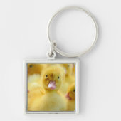 Kutest Baby Animals | Baby Duck-groep Sleutelhanger (Voorkant)