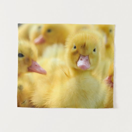Kutest Baby Animals | Baby Duck-groep Wandkleed (Voorkant (horizontaal))