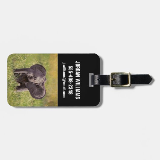 Kutest Baby Animals | Baby Elephant Kenia Africa Bagagelabel (Voorkant horizontaal)