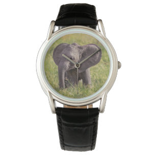 Kutest Baby Animals Baby Elephant Kenia Africa Horloge