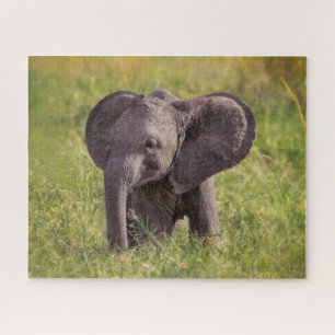 Kutest Baby Animals   Baby Elephant Kenia Africa Legpuzzel
