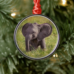 Kutest Baby Animals   Baby Elephant Kenia Africa Metalen Ornament