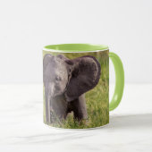 Kutest Baby Animals | Baby Elephant Kenia Africa Mok (Voorkant rechts)