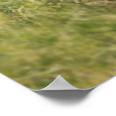 Kutest Baby Animals | Baby Elephant Kenia Africa Poster (Hoek)