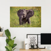 Kutest Baby Animals | Baby Elephant Kenia Africa Poster (Thuiskantoor)