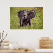 Kutest Baby Animals | Baby Elephant Kenia Africa Poster (Keuken)