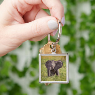Kutest Baby Animals Baby Elephant Kenia Africa Sleutelhanger