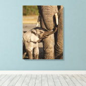 Kutest Baby Animals | Baby Elephant & Mama Canvas Afdruk (Insitu (Houten vloer))
