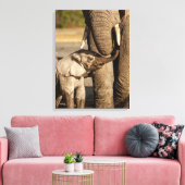 Kutest Baby Animals | Baby Elephant & Mama Canvas Afdruk (Insitu (Woonkamer))