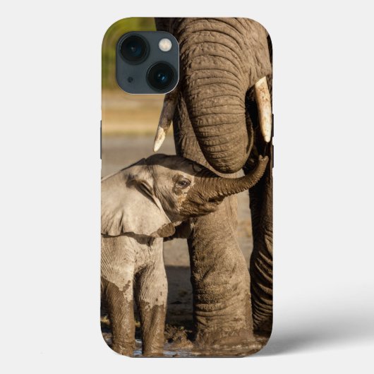 Kutest Baby Animals | Baby Elephant & Mama Case-Mate iPhone Case (Achterkant)
