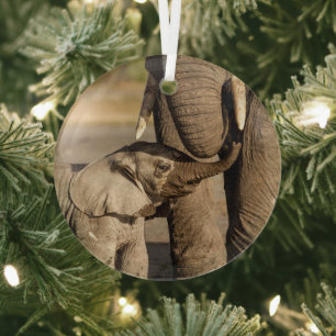 Kutest Baby Animals   Baby Elephant & Mama Glas Ornament