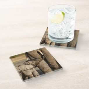 Kutest Baby Animals   Baby Elephant & Mama Glazen Onderzetter