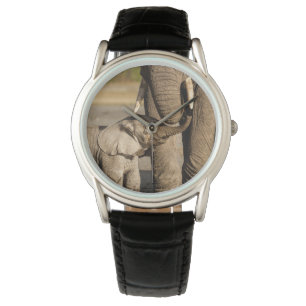 Kutest Baby Animals   Baby Elephant & Mama Horloge