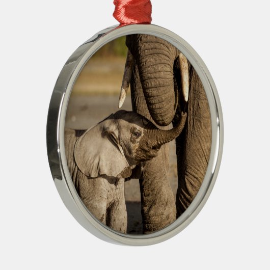 Kutest Baby Animals | Baby Elephant & Mama Metalen Ornament (Rechts)