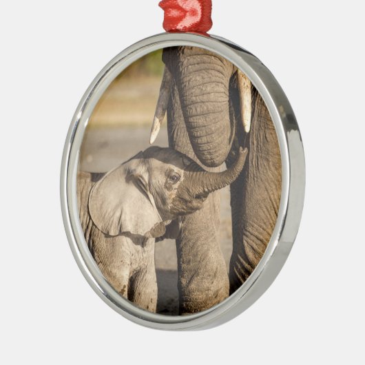 Kutest Baby Animals | Baby Elephant & Mama Metalen Ornament (Links)