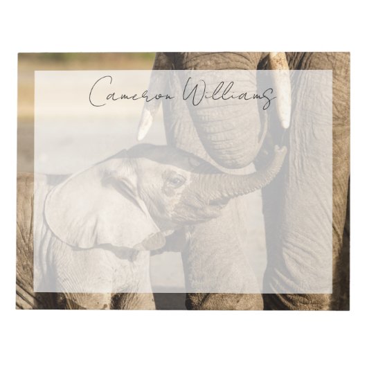 Kutest Baby Animals | Baby Elephant & Mama Notitieblok (Voorkant)