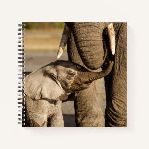 Kutest Baby Animals   Baby Elephant & Mama Notitieboek