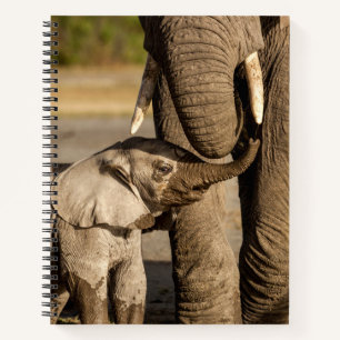 Kutest Baby Animals Baby Elephant & Mama Notitieboek