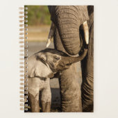 Kutest Baby Animals | Baby Elephant & Mama Planner (Voorkant)