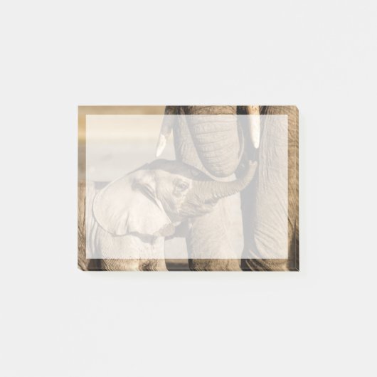 Kutest Baby Animals | Baby Elephant & Mama Post-it® Notes (Voorkant)