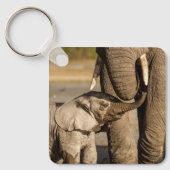 Kutest Baby Animals | Baby Elephant & Mama Sleutelhanger (Voorkant)