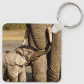 Kutest Baby Animals | Baby Elephant & Mama Sleutelhanger (Achterkant)