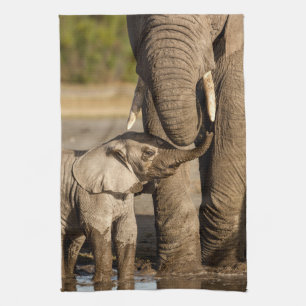 Kutest Baby Animals Baby Elephant & Mama Theedoek