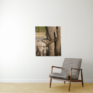 Kutest Baby Animals   Baby Elephant & Mama Wandkleed