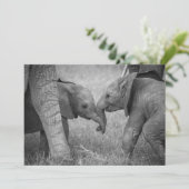 Kutest Baby Animals | Baby Elephants-groet Bedankkaart (Staand voorkant)