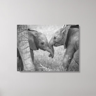 Kutest Baby Animals Baby Elephants-groet Canvas Afdruk