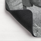 Kutest Baby Animals | Baby Elephants-groet Muismat (Hoek)