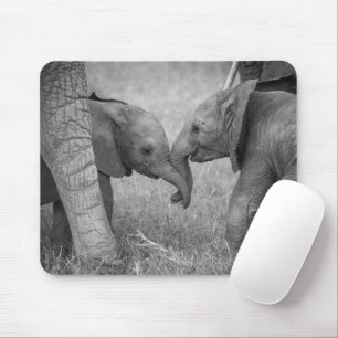 Kutest Baby Animals   Baby Elephants-groet Muismat