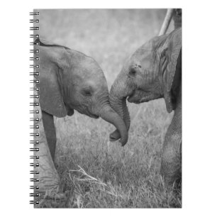 Kutest Baby Animals   Baby Elephants-groet Notitieboek